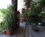 4 bedrooms House in Arafo, Spain No. 40499 - Image 4