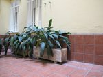 1 bedroom Apartment in Madrid, Spain No. 4199 - Image 18