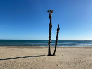 1 bedroom Apartment in Alboraya, Spain No. 4245