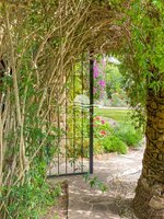 4 bedrooms Villa in Benissano, Spain No. 4359 - Image 23