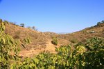 5 bedrooms House in Monda, Spain No. 44618 - Image 17