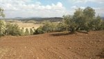 8 bedrooms House in Antequera, Spain No. 45061 - Image 6