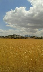 8 bedrooms House in Antequera, Spain No. 45061 - Image 9