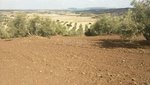 8 bedrooms House in Antequera, Spain No. 45061 - Image 11