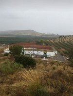 8 bedrooms House in Antequera, Spain No. 45072 - Image 2