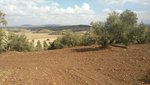 8 bedrooms House in Antequera, Spain No. 45072 - Image 6
