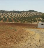 8 bedrooms House in Antequera, Spain No. 45072 - Image 8
