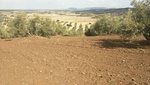 8 bedrooms House in Antequera, Spain No. 45072 - Image 11