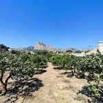 2 bedrooms House in Polop, Spain No. 4537 - Image 4