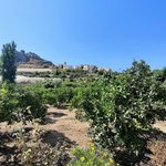 2 bedrooms House in Polop, Spain No. 4537 - Image 8