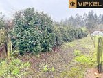4270m² Land in Abegondo, Spain No. 46152 - Image 7