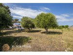 3 bedrooms Finca in Mahon, Spain No. 5033 - Image 3