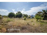 3 bedrooms Finca in Mahon, Spain No. 5033 - Image 4