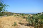 1537m² Land in La Quinta, Spain No. 51138 - Image 2