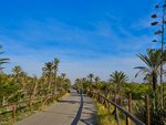 5 bedrooms House in Guardamar del Segura, Spain No. 51180 - Image 18