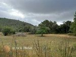 18951m² Land in Arta, Spain No. 5207 - land in Spain