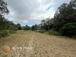 18951m² Land in Arta, Spain No. 5207 - Image 2