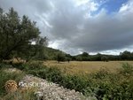 18951m² Land in Arta, Spain No. 5207 - Image 3
