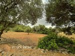 18951m² Land in Arta, Spain No. 5207 - Image 4