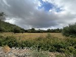 18951m² Land in Arta, Spain No. 5207 - Image 5