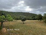 18951m² Land in Arta, Spain No. 5207 - Image 6