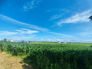 1569m² Land in Tapia de Casariego, Spain No. 52112