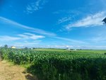 1569m² Land in Tapia de Casariego, Spain No. 52112 - land in Spain