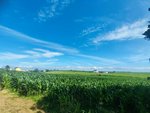 1569m² Land in Tapia de Casariego, Spain No. 52112 - Image 3