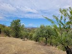 1 bedroom Villa in Monda, Spain No. 54857 - Image 13