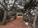 Land in Sant Lluis, Spain No. 5531 - land in Spain