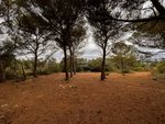 Land in Sant Lluis, Spain No. 5531 - Image 2