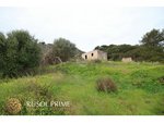 2936m² Land in Ferreries, Spain No. 5576 - Image 8