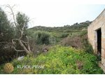 2936m² Land in Ferreries, Spain No. 5576 - Image 10