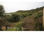 2936m² Land in Ferreries, Spain No. 5576 - Image 12
