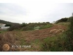 6169m² Land in Ferreries, Spain No. 5577 - Image 6