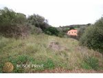 6169m² Land in Ferreries, Spain No. 5577 - Image 10