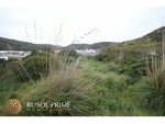 6169m² Land in Ferreries, Spain No. 5577 - Image 14
