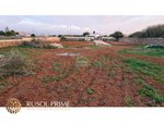 2747m² Land in Ciutadella De Menorca, Spain No. 5621 - Image 6