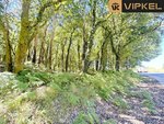 25666m² Land in A Estrada, Spain No. 58587 - Image 2