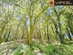 25666m² Land in A Estrada, Spain No. 58587 - Image 5
