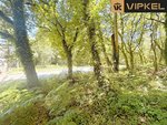 25666m² Land in A Estrada, Spain No. 58587 - Image 13