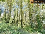 25666m² Land in A Estrada, Spain No. 58587 - Image 19