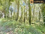 25666m² Land in A Estrada, Spain No. 58587 - Image 22