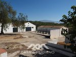 Commercial property in Almayate Bajo, Spain No. 58820 - Image 13
