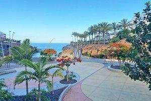 2 bedrooms Apartment in Adeje, Spain No. 61142