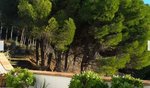 4 bedrooms House in Mijas, Spain No. 66512 - Image 33