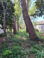 8 bedrooms House in Canals, Spain No. 67334 - Image 19