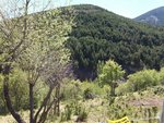 660m² Land in Huesca, Spain No. 68124 - Image 8