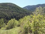 660m² Land in Huesca, Spain No. 68124 - Image 14