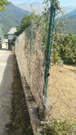 660m² Land in Huesca, Spain No. 68124 - Image 17